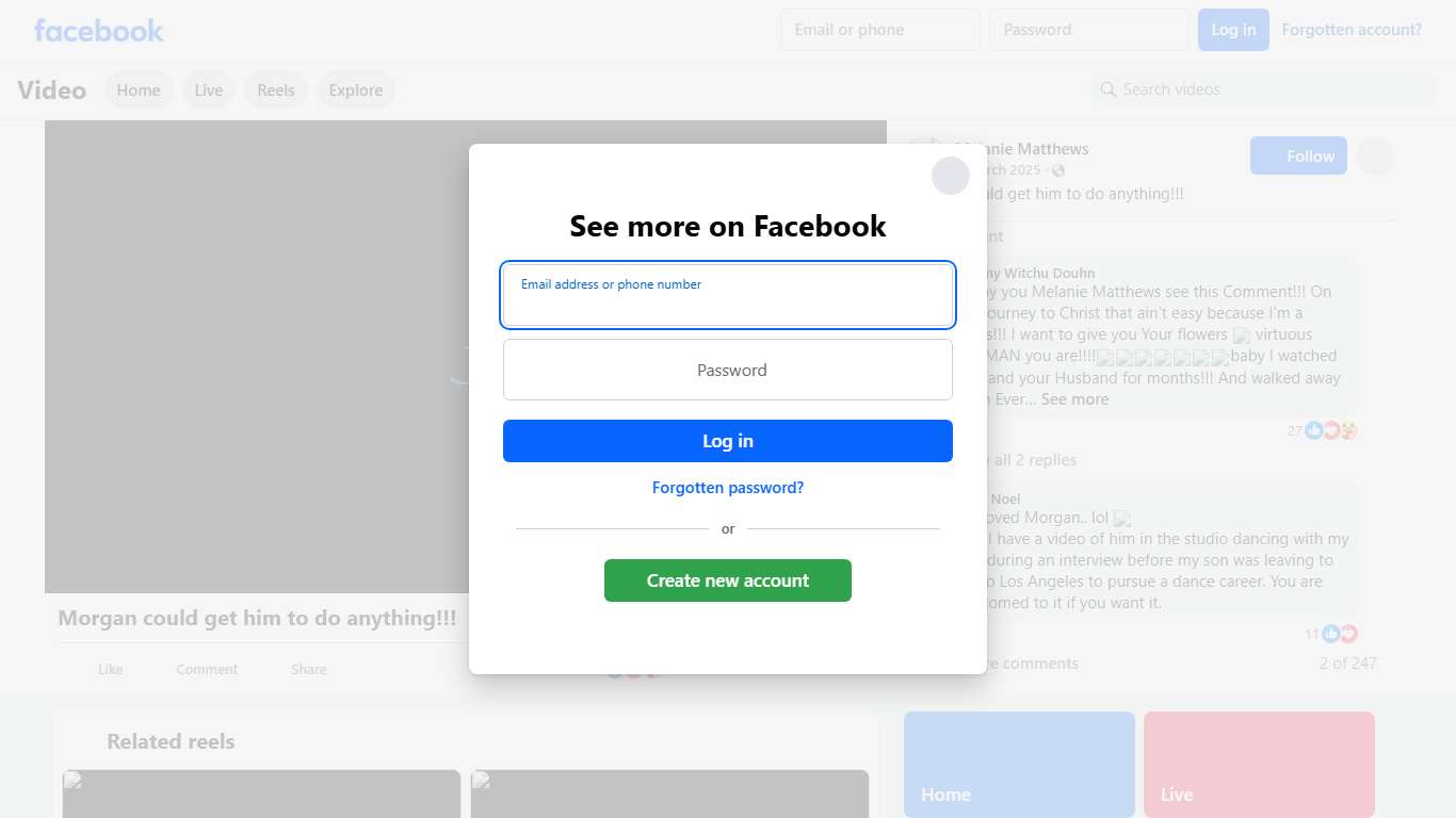 Morgan could get him to do anything!!! | Melanie Matthews | Facebook